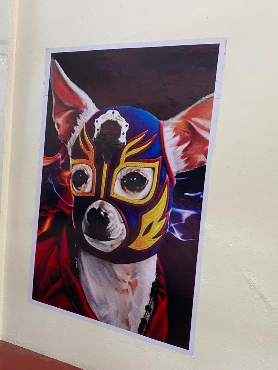 Отель Mil Mascaras Oaxaca Экстерьер фото